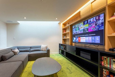 Penthouse Media Room
